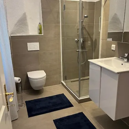 Altstadtjuwel In Am Traunsee Lejlighed