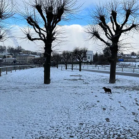 Apartment Altstadtjuwel In Am Traunsee