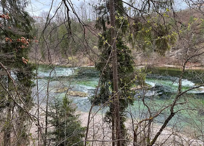 Apartment Altstadtjuwel In Am Traunsee Gmunden