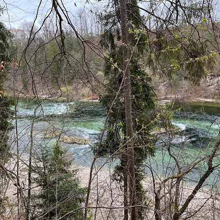 Апартаменты Altstadtjuwel In Am Traunsee Гмунден