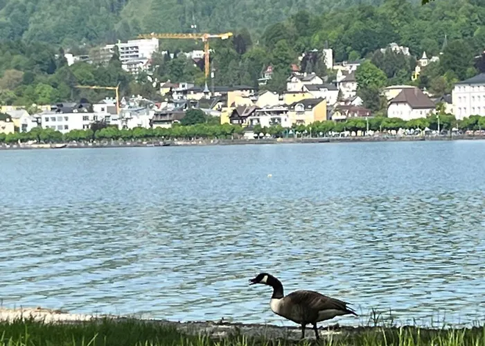 Altstadtjuwel In Am Traunsee غموندين