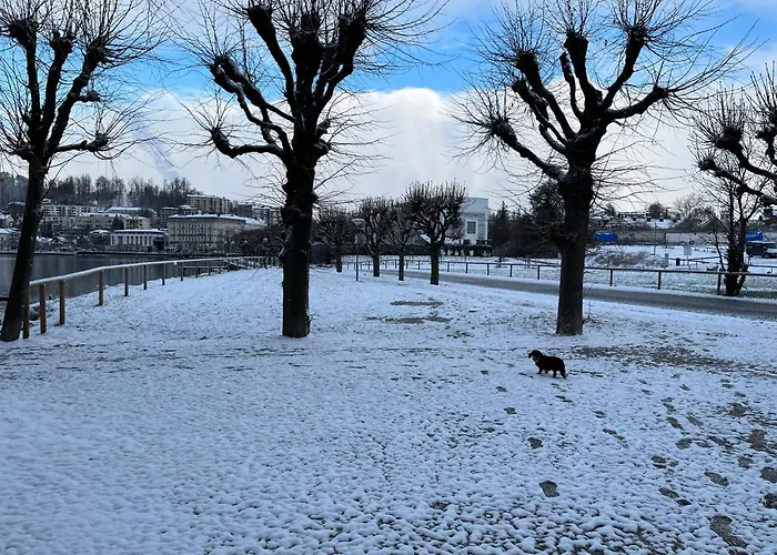 شقة Altstadtjuwel In Am Traunsee
